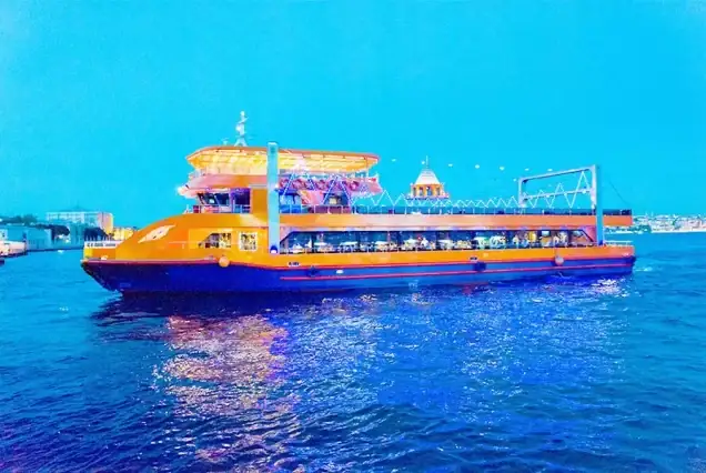 Bosphorus Dinner Cruise