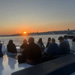 Bosphorus Cruise Tour In Istanbul