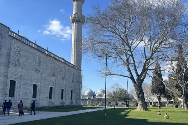 Suleymaniye Mosque minaret from garden